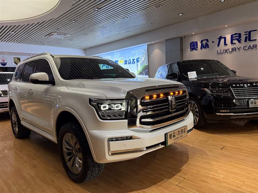 Tank 500 New Energy 2023 car image #4