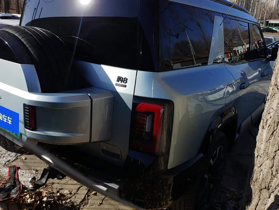 FangChengBao Leopard 8 2025 #4 FangChengBao Leopard 8 2025 car image #4