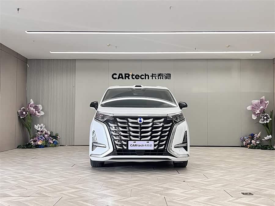 Denza D9 2025 car image #4