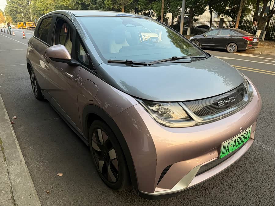 BYD Dolphin 2022 car image #4