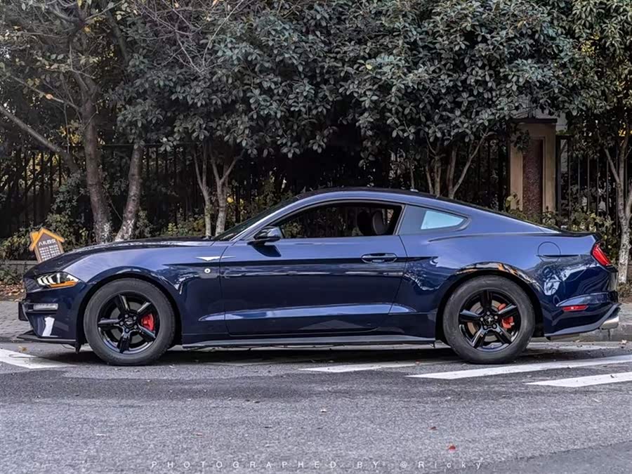 Ford 2019 #4 Ford 2019 car image #4