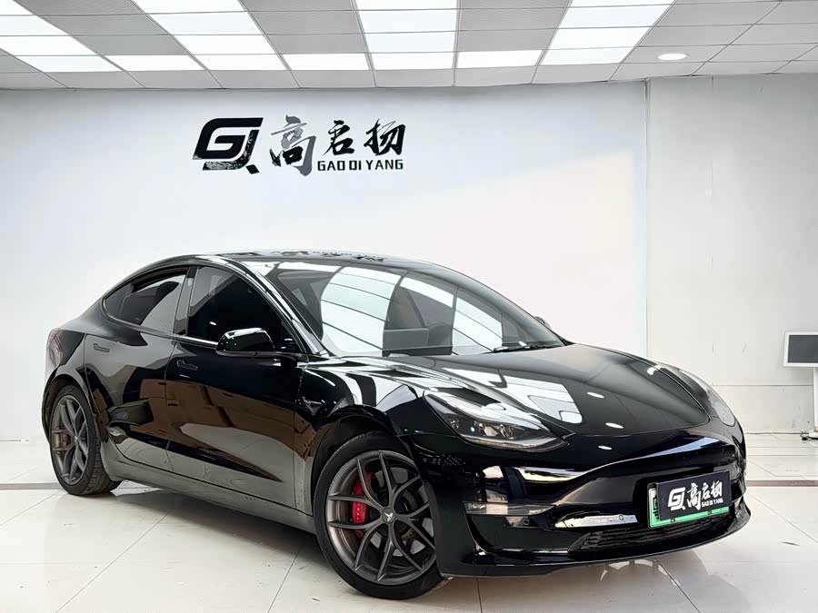Tesla Model 3 2021 car image #4