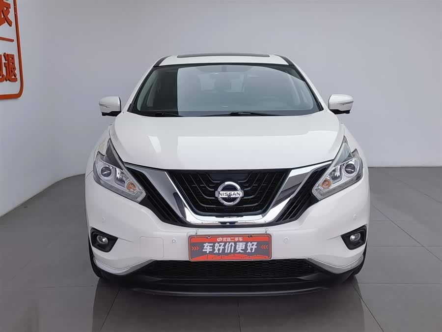 Nissan Murano 2019 imagen de coche #4
