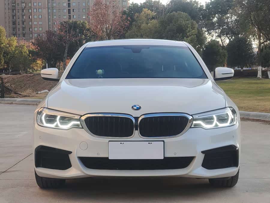 BMW 5 Series 2020 car image #4