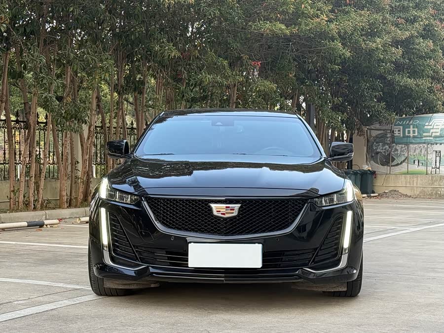 2020 #4 2020 car image #4