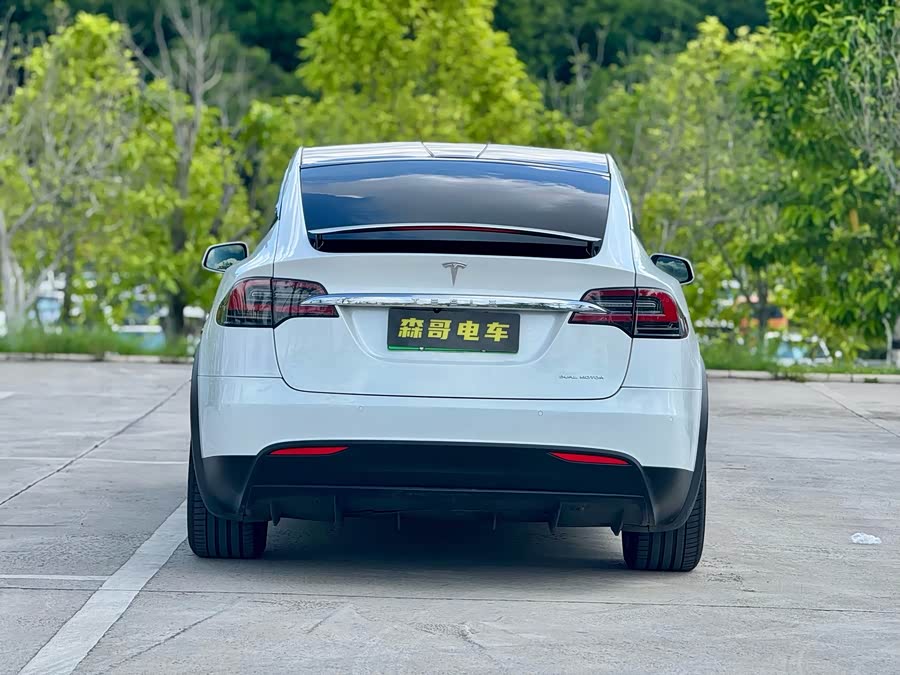 特斯拉 Model X 2020 汽车图片 #4