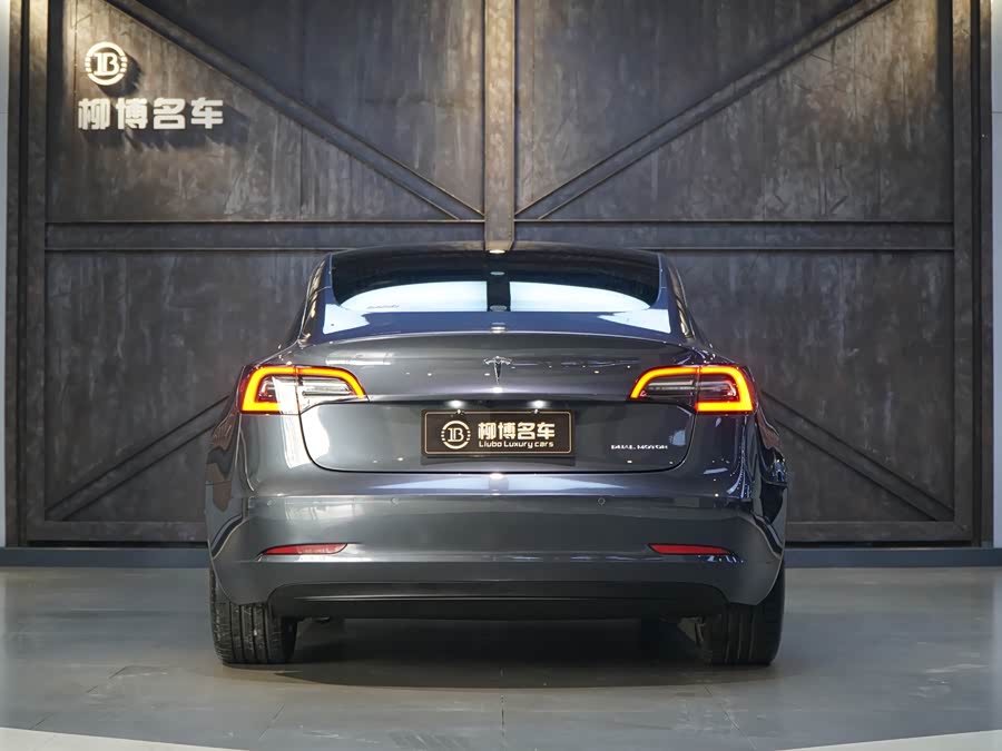 Tesla Model 3 2020 car image #4