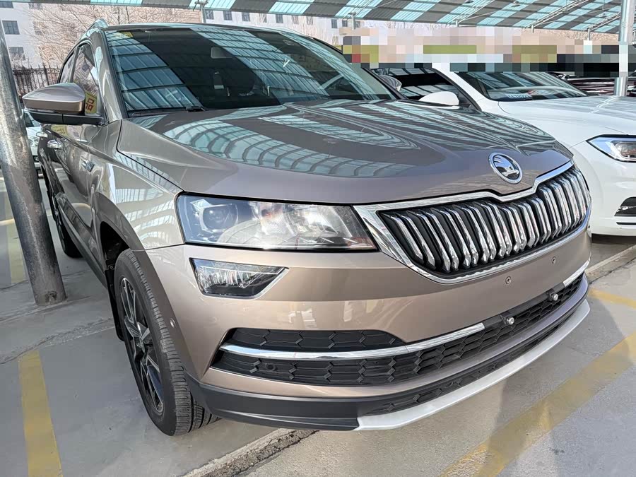 Skoda Karoq 2020 car image #4