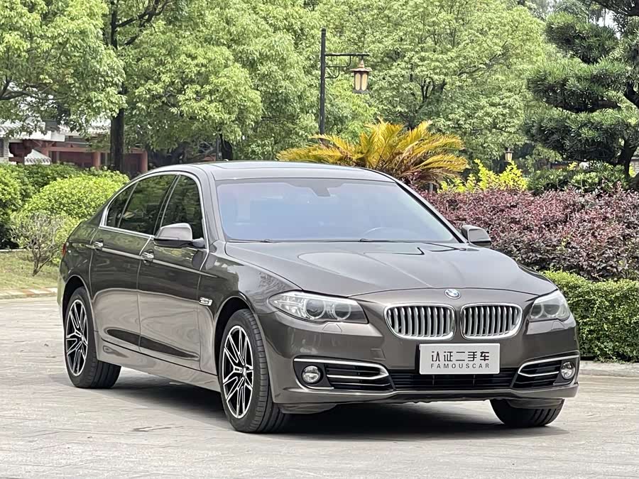 BMW 5 Series 2014 car image #4