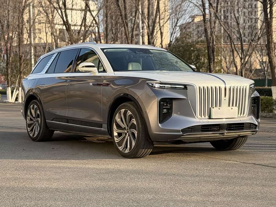 HongQi E-HS9 2020 image de voiture #4