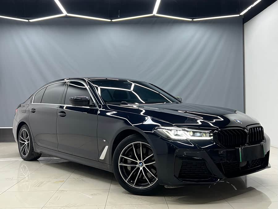 BMW 5 Series New Energy 2021 car image #4