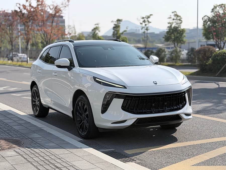 东风风行 风行T5 EVO 2021 汽车图片 #4