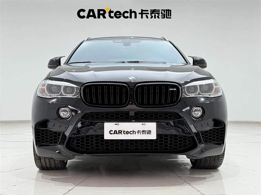 BMW X6 2015 immagine di auto #4
