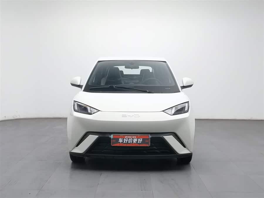 BYD Seagull 2024 car image #4