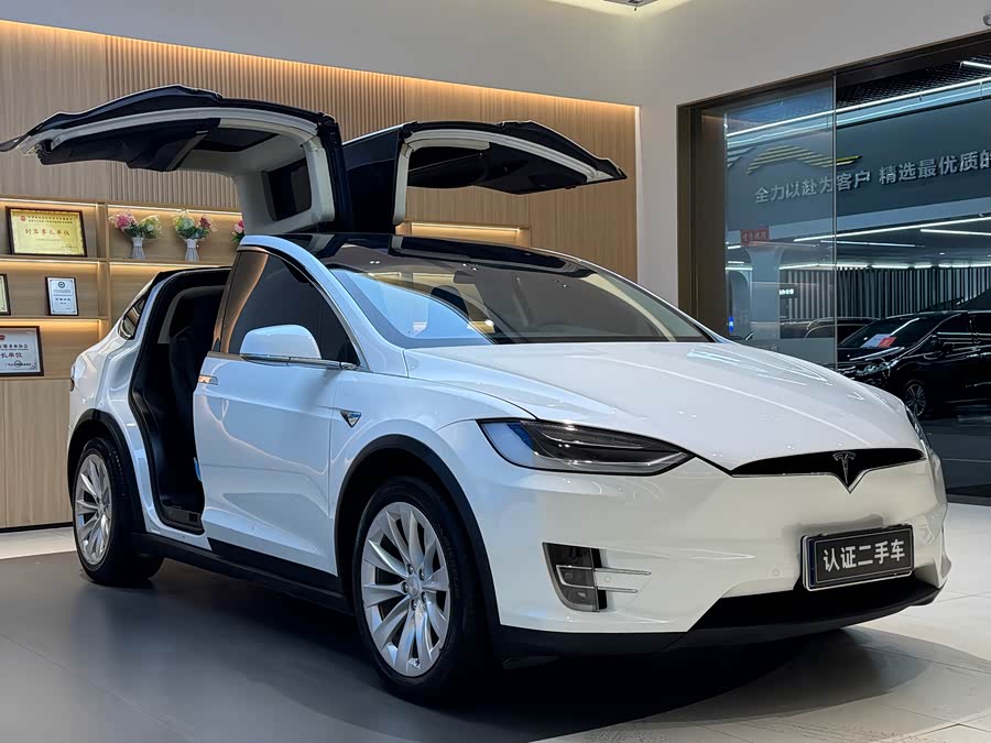 特斯拉 Model X 2017 汽车图片 #4