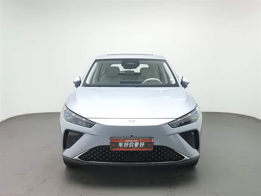 Neta L 2024 imagen de coche #4