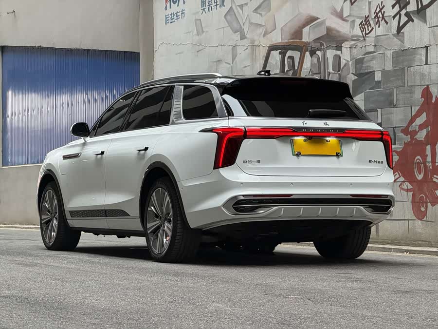 HongQi E-HS9 2023 car image #4