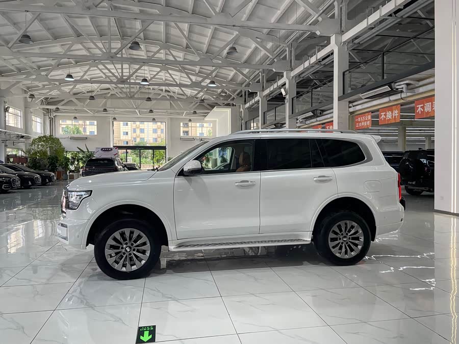 Tank 500 New Energy 2024 car image #4