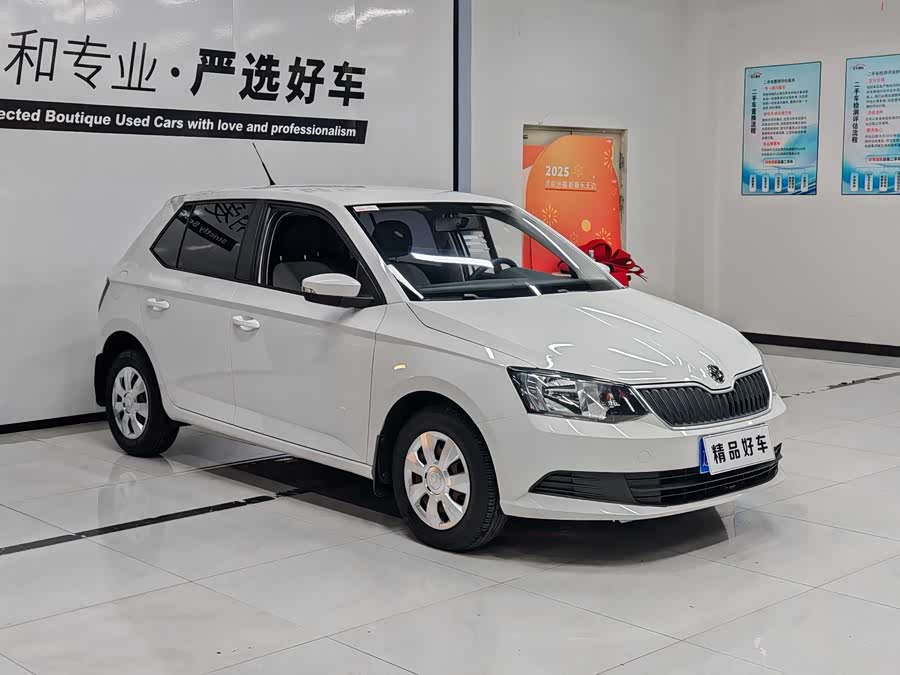 Skoda Fabia 2015 immagine di auto #4