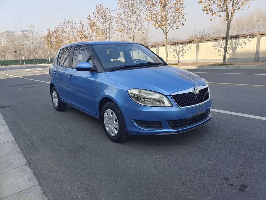 Skoda Fabia 2013 immagine di auto #4