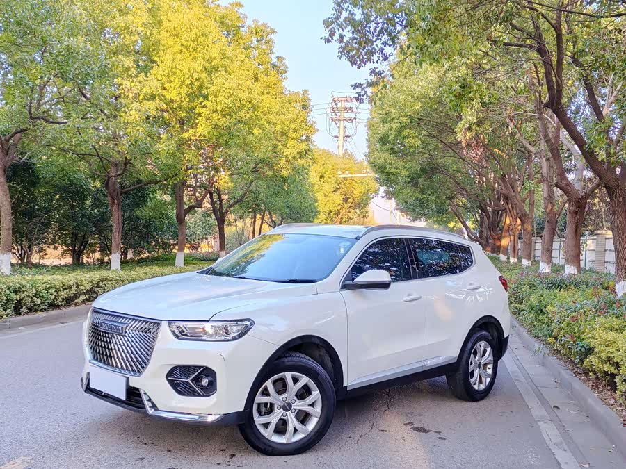 Haval H6 2020 car image #4