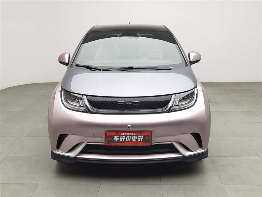 BYD Dolphin 2024 immagine di auto #4