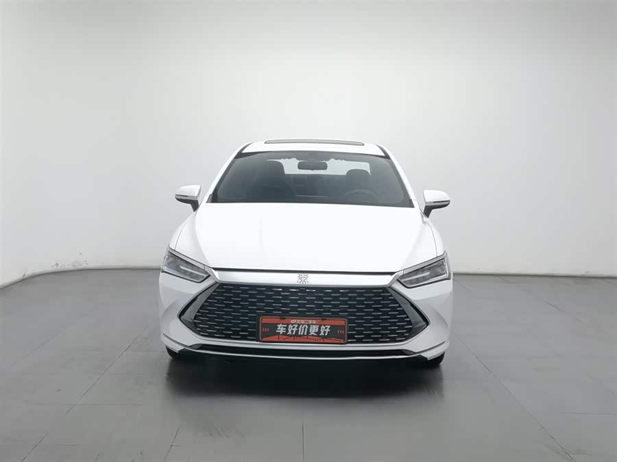 BYD Qin Plus 2022 immagine di auto #4