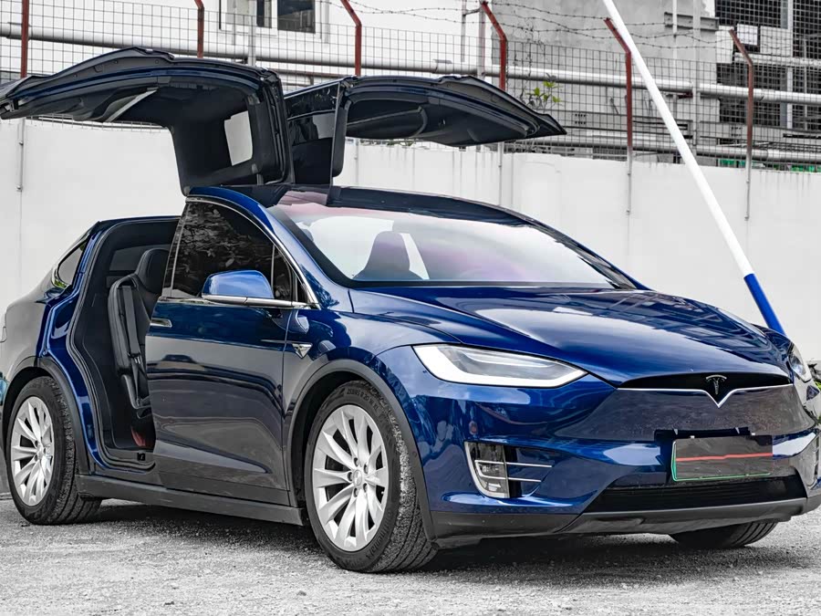 Tesla Model X 2020 car image #4