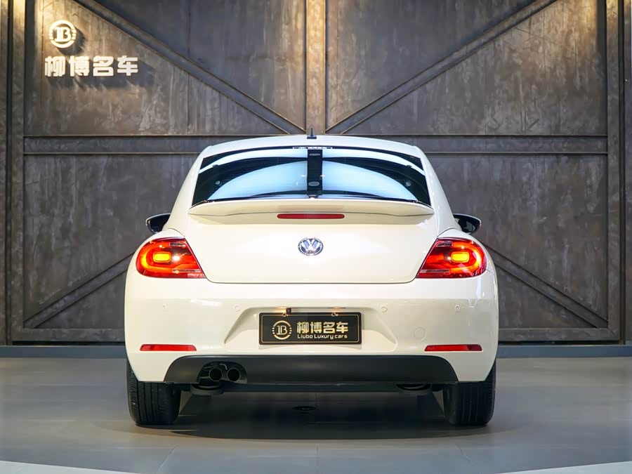 Volkswagen Beetle 2012 immagine di auto #4