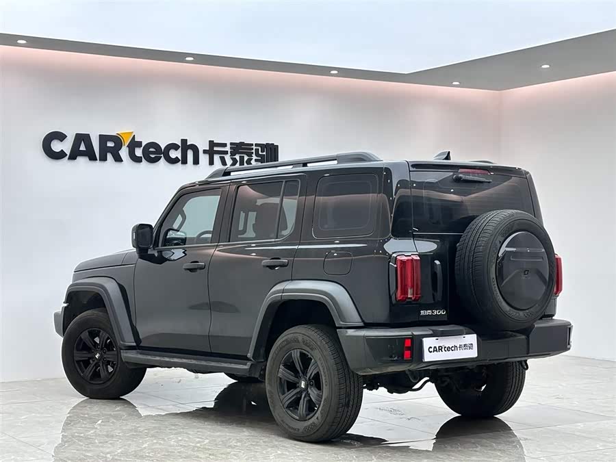 Tank 300 2023 #4 Tank 300 2023 car image #4