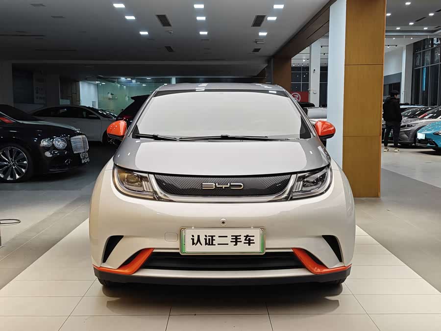 BYD Dolphin 2022 car image #4