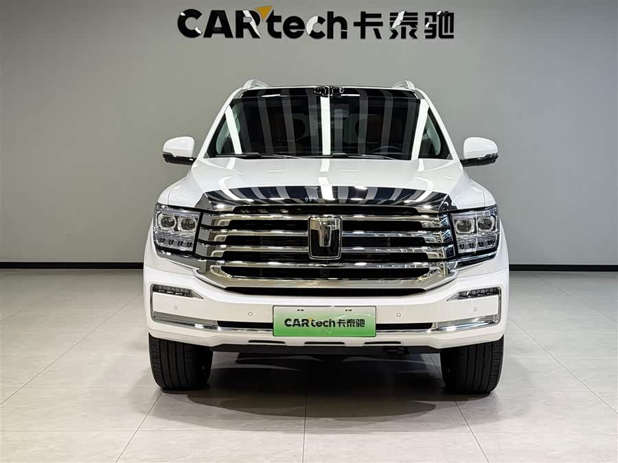 Tank 500 New Energy 2025 car image #4