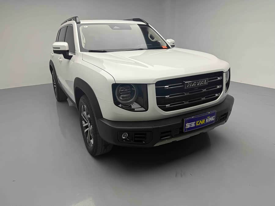 Haval X Dog / Dargo 2021 #4 Haval X Dog / Dargo 2021 car image #4