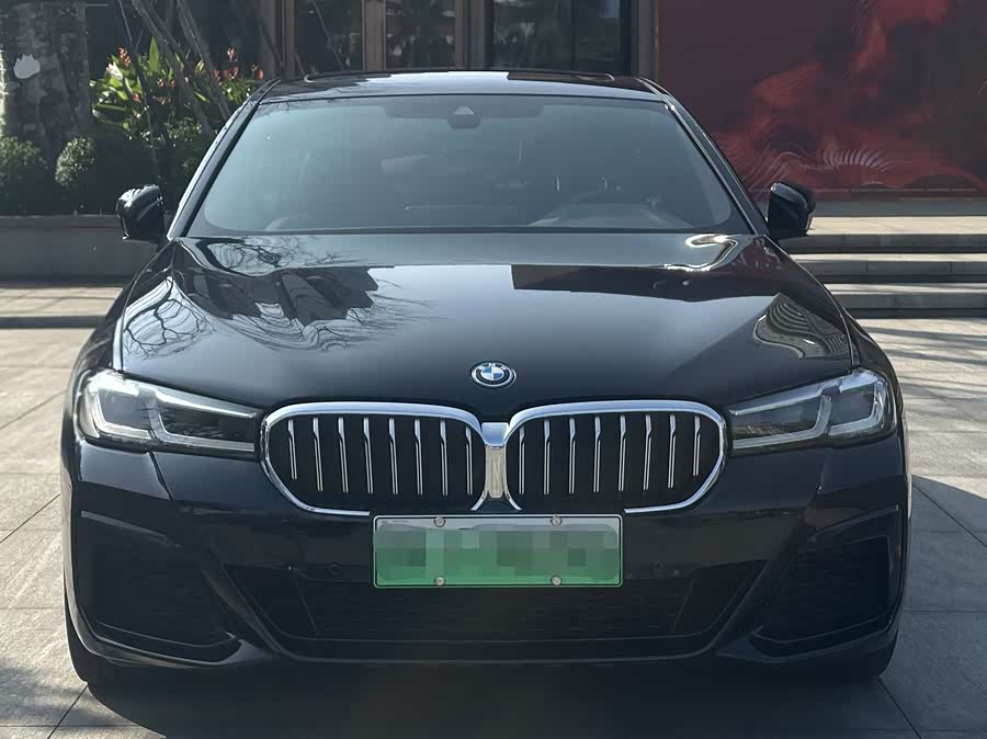 BMW 5 Series New Energy 2021 car image #4