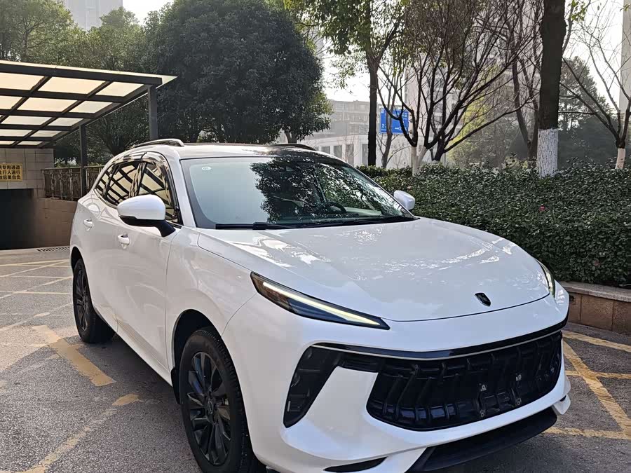 Forthing T5 EVO 2020 car image #4