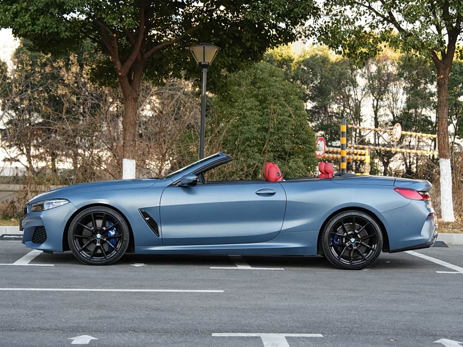 BMW 8 Series 2019 car image #4