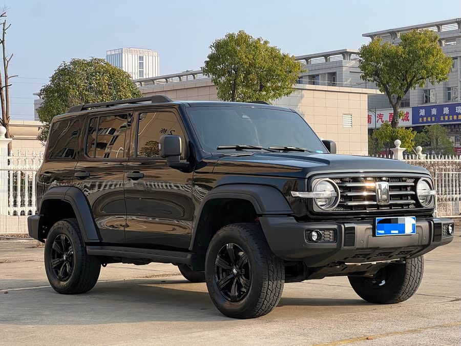 Tank 300 2021 car image #4