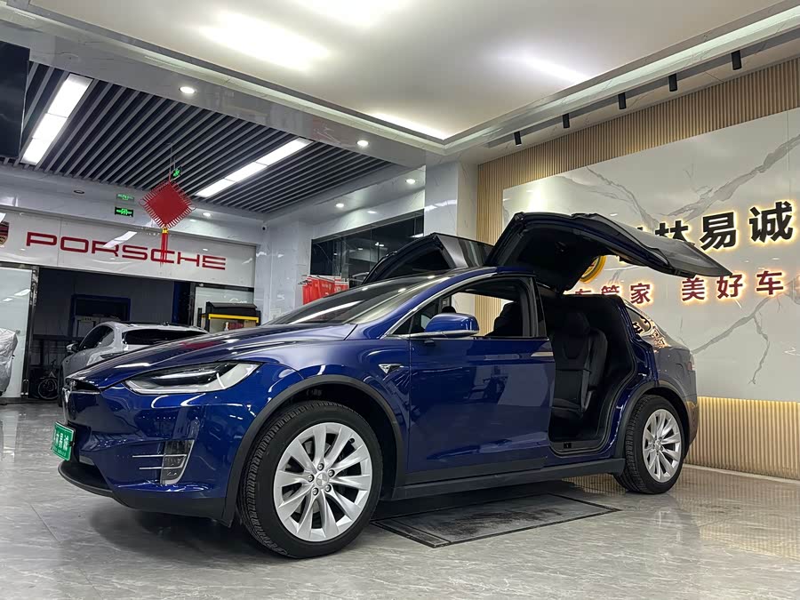 Tesla Model X 2021 #4 Tesla Model X 2021 car image #4