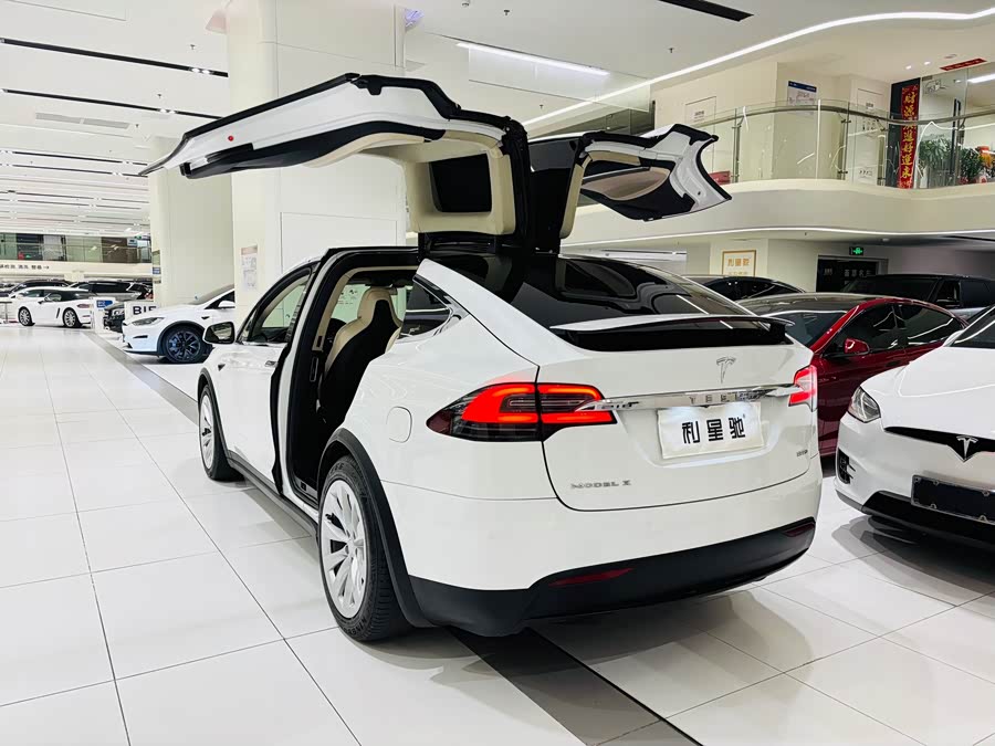 Tesla Model X 2018 car image #4