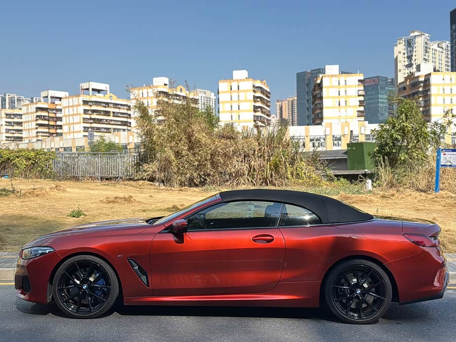 BMW 8 Series 2020 #4 BMW 8 Series 2020 car image #4