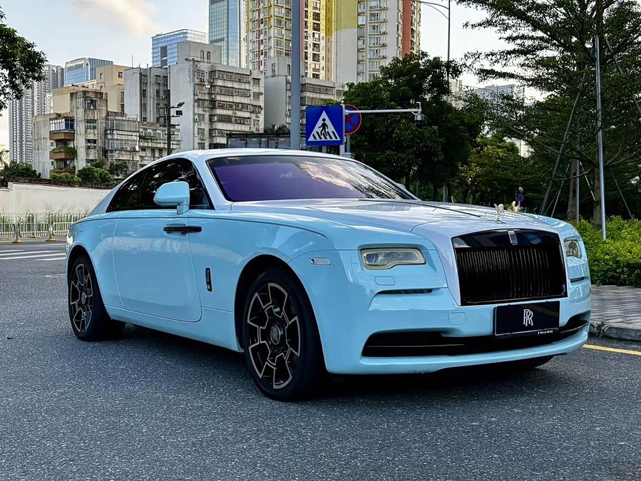 Denza Wraith 2014 immagine di auto #4