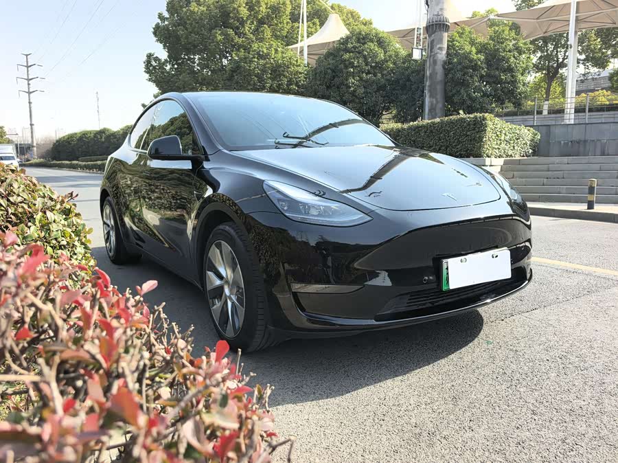Tesla Model Y 2021 car image #4