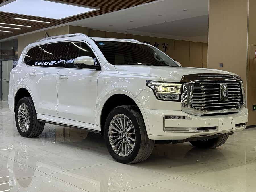 坦克 坦克500 2022 汽车图片 #4