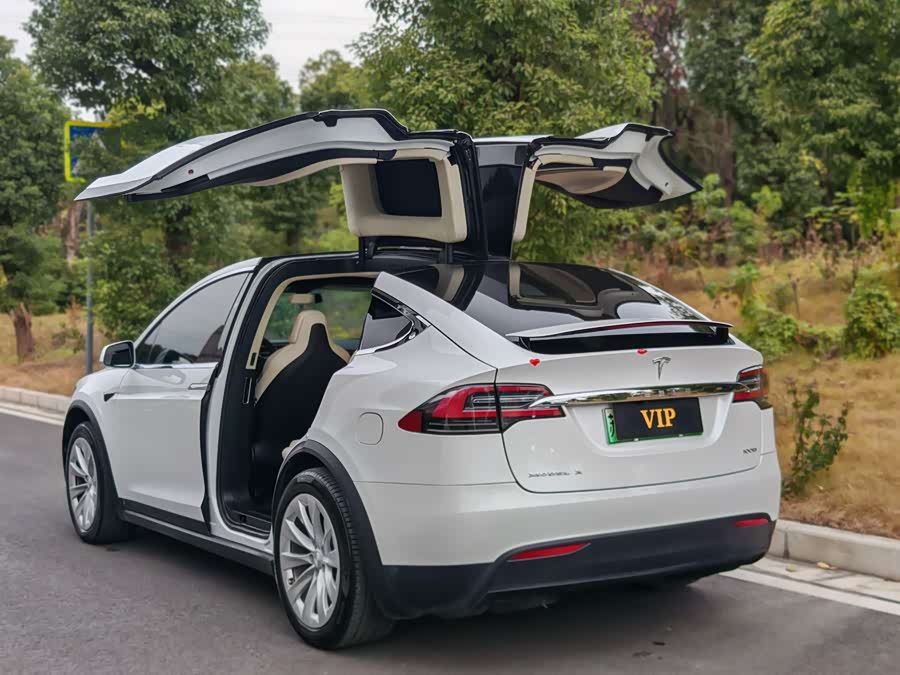 Tesla Model X 2018 immagine di auto #4