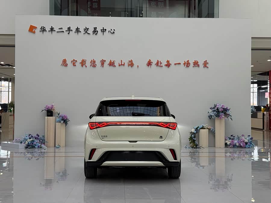 BYD Dolphin 2023 #4 BYD Dolphin 2023 car image #4