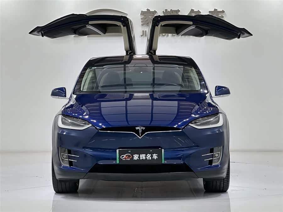 Tesla Model X 2018 car image #4