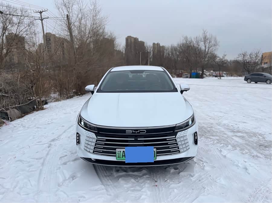 比亚迪 驱逐舰05 2024 汽车图片 #4