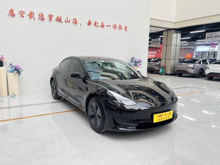 Tesla Model 3 2021 car image #4