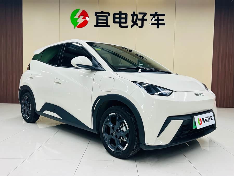 BYD Seagull 2024 imagen de coche #4