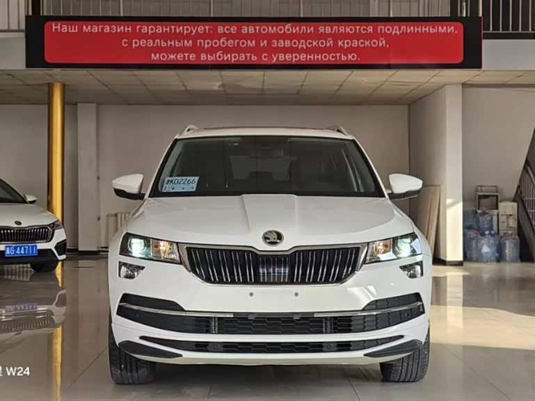 Skoda Karoq 2021 car image #4